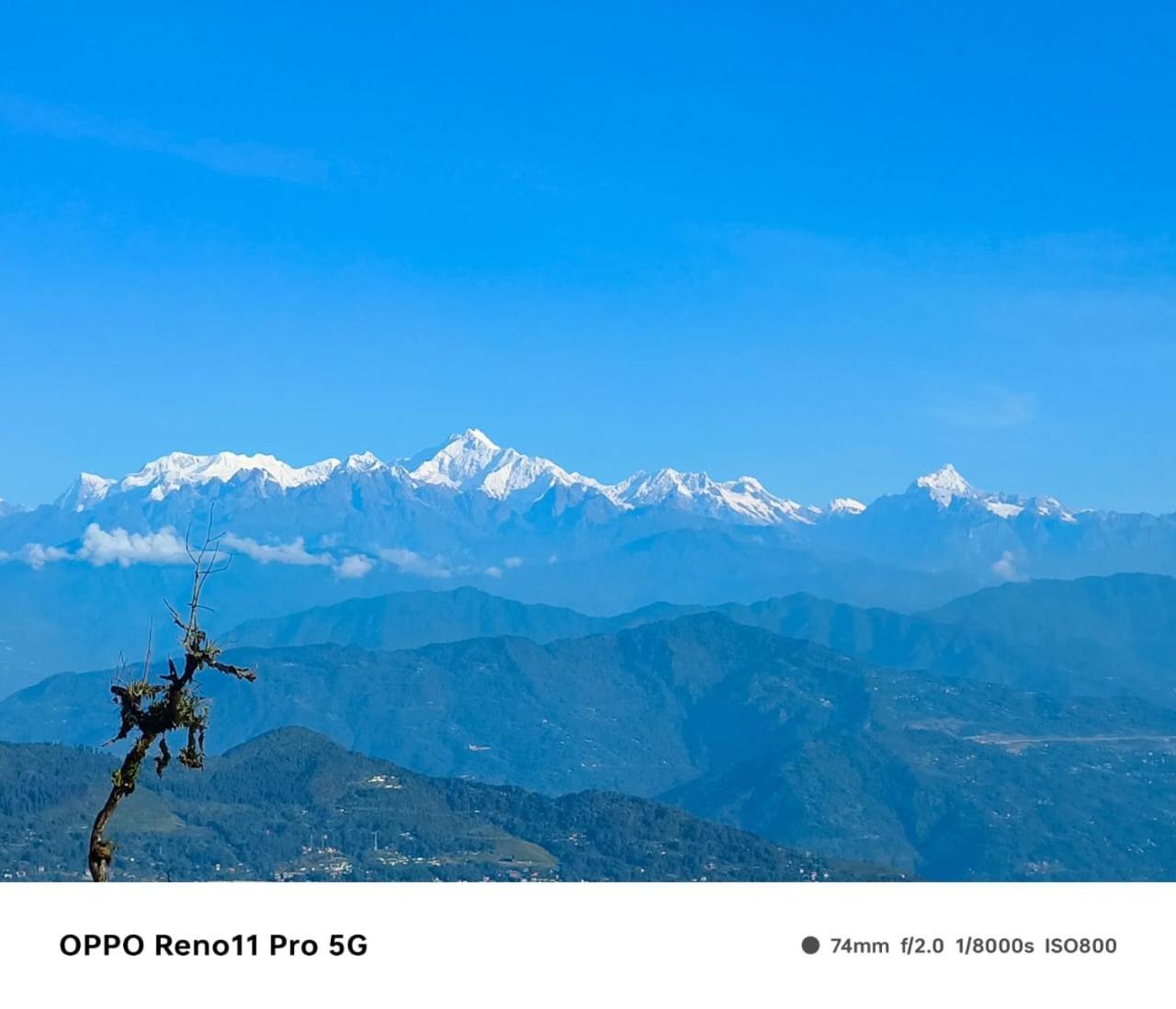 Mountain Rishop