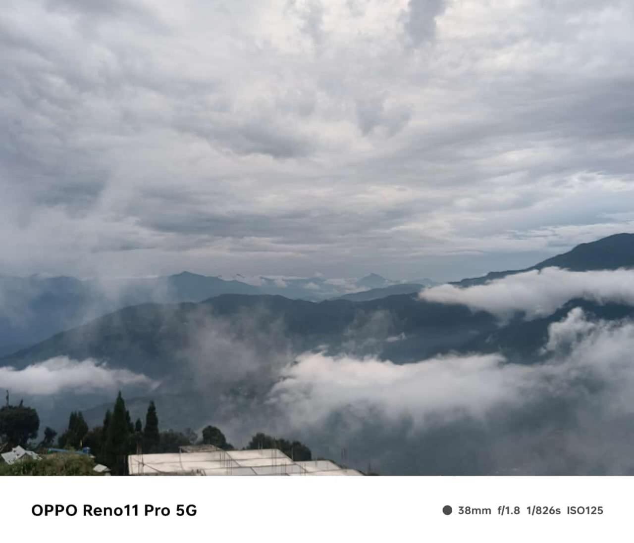 Mountain Homestay